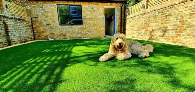 Pet-friendly artificial grass