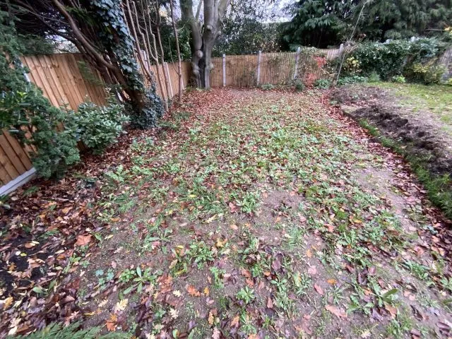 Easigrass Northern Ireland