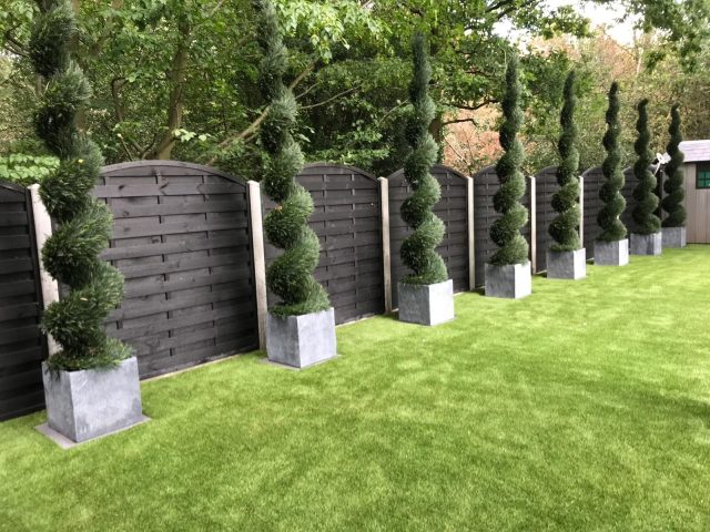 Easigrass Northern Ireland