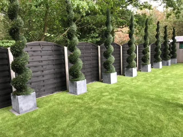 Easigrass Northern Ireland