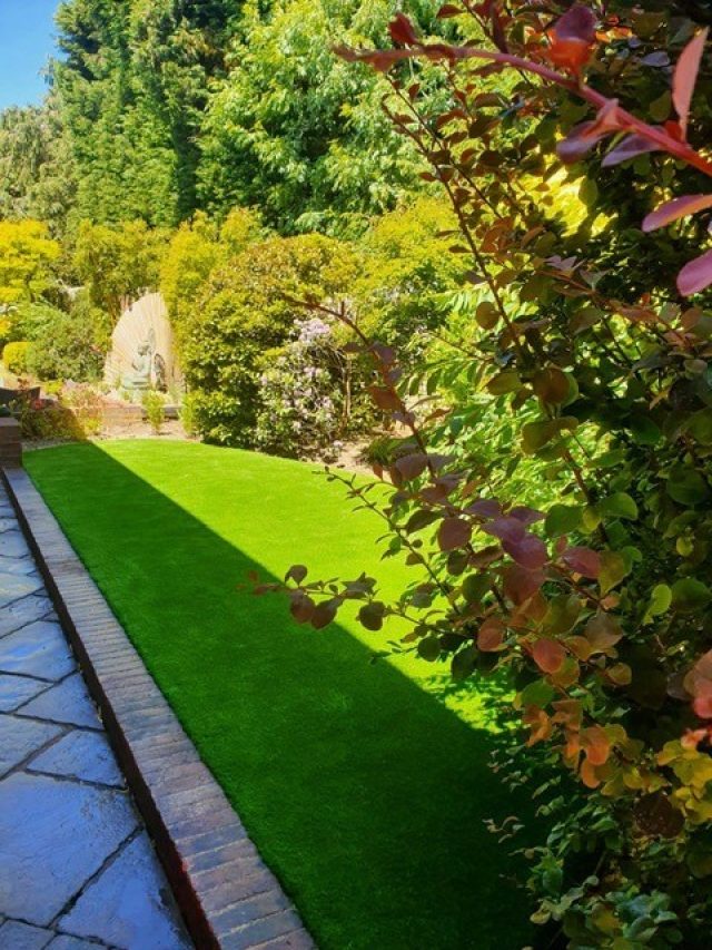 Easigrass Northern Ireland