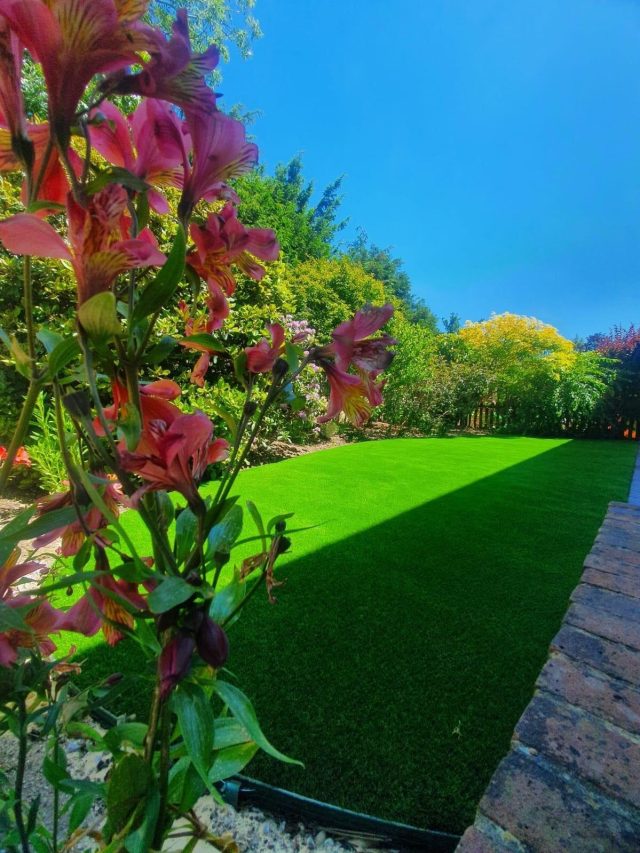 Easigrass Northern Ireland