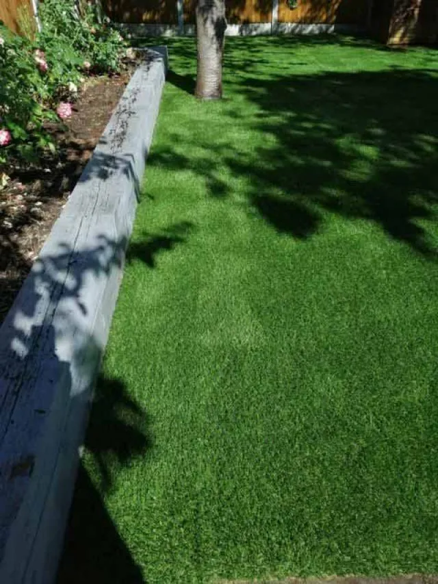 Easigrass Northern Ireland
