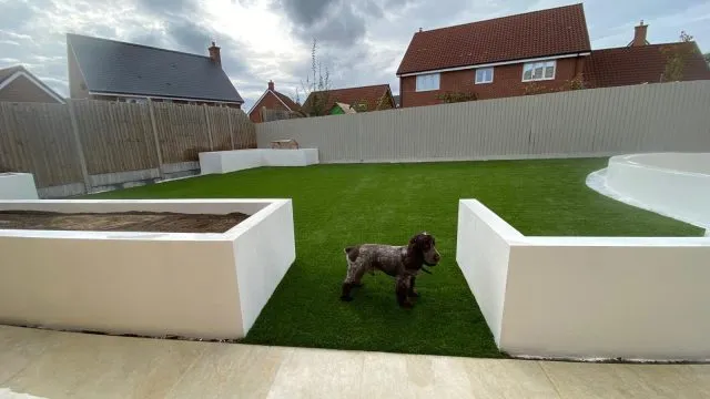 Easigrass Northern Ireland