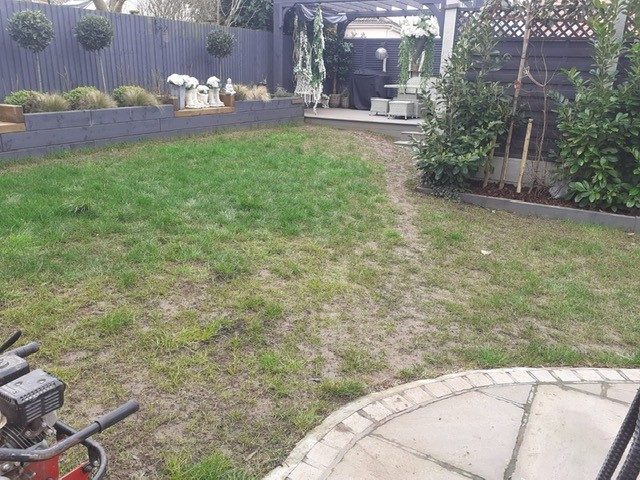 Easigrass Northern Ireland