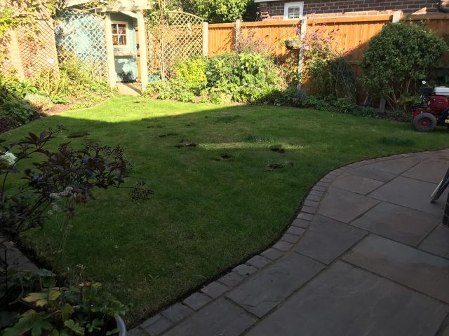 Easigrass Northern Ireland