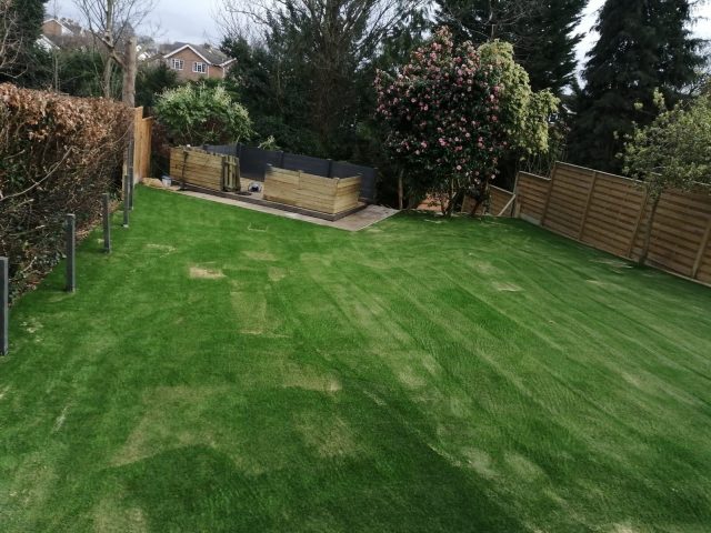 Easigrass Northern Ireland