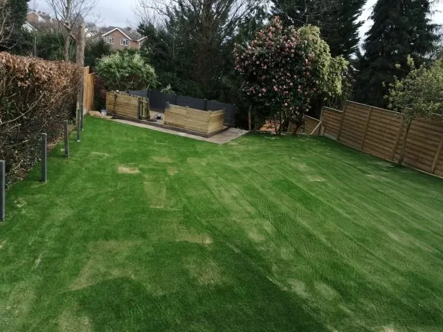 Easigrass Northern Ireland