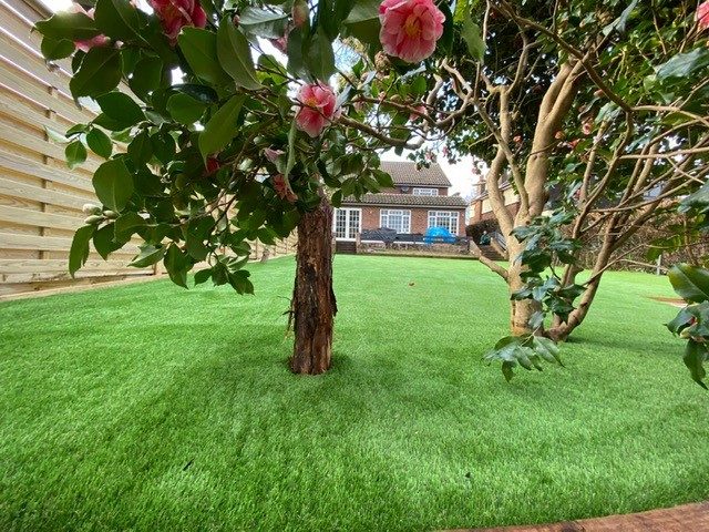 Easigrass Northern Ireland