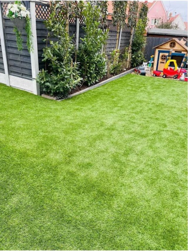 Easigrass Northern Ireland